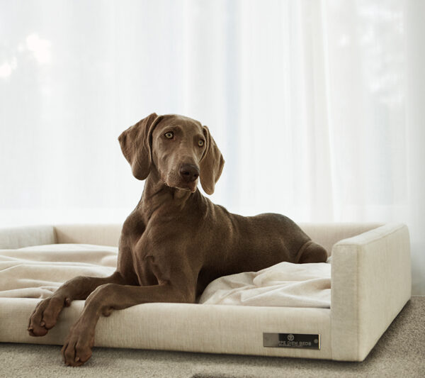 Carpe Diem Hundekurv | Large - Image 2