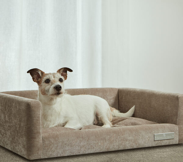 Carpe Diem Hundekurv Small - Image 2