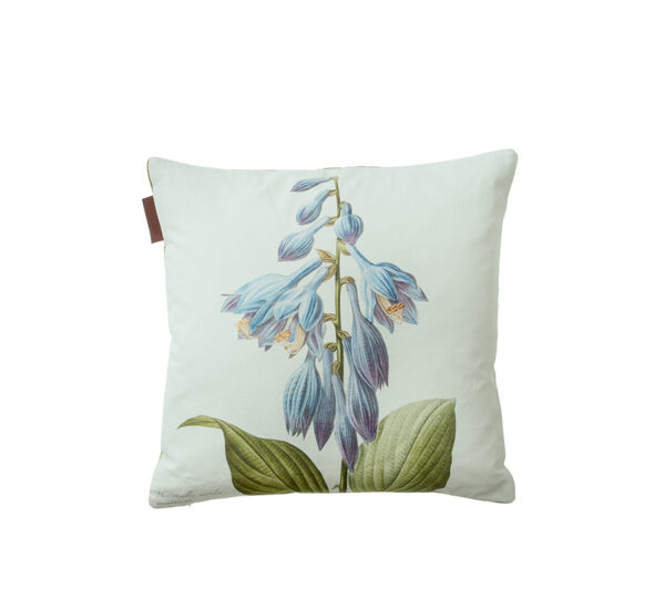 Koustrup & Co Pyntepude | Hosta