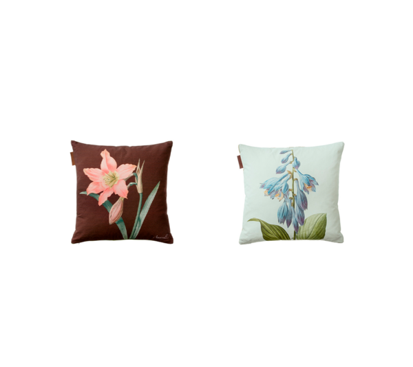 Koustrup & Co Pyntepuder Amaryllis & Hosta