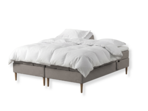 Dunlopillo Seed Elevation